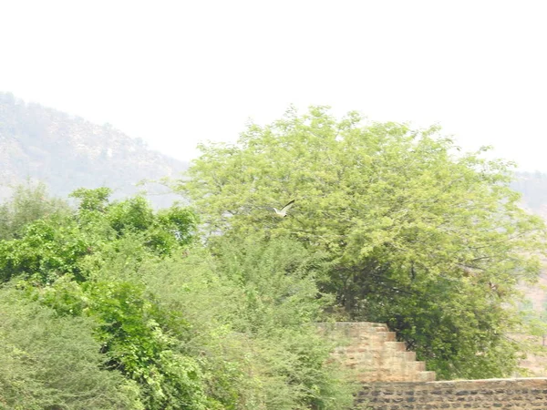 Крупный План Красивого Сэра Висвешварая Плотина Возле Храма Гхати Субраманья — стоковое фото