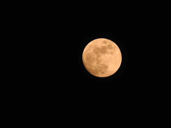Zbliżenie Piękny Prawdziwy Żółty Kolor Księżyc Noc Czarny Tło — Zdjęcie stockowe