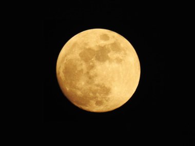 Güzel, sarı renkli Ay 'ın yakın plan gece siyah arka planı