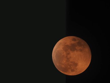 Güzel, sarı renkli Ay 'ın yakın plan gece siyah arka planı