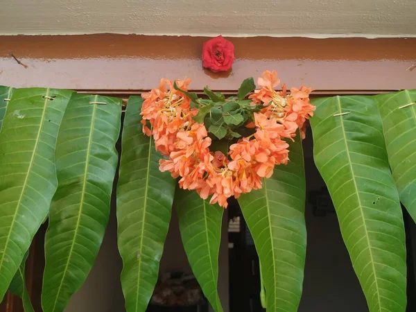 节日期间 装饰精美的爆竹或金刚花和芒果叶托兰在入口门前的遮掩 — 图库照片