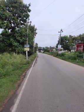 Bangalore, Karnataka, Hindistan-4 Temmuz 2023: Güzel Hint kumu ya da asfalt yollarına ya da köyün doğa geçmişine sahip yollarına yakın çekim