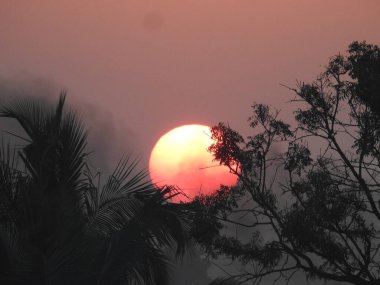 Güzel gün batımına yakın ya da Bangalore 'da sabah manzarası