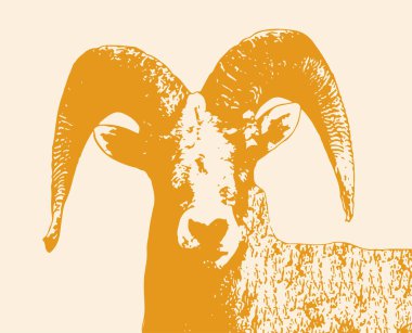 Renkli büyük boynuzlu koyun koçu karalama stili çizim çizimi