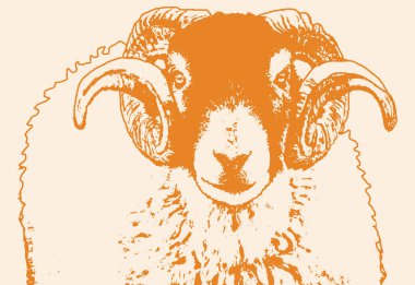 Renkli büyük boynuzlu koyun koçu karalama stili çizim çizimi