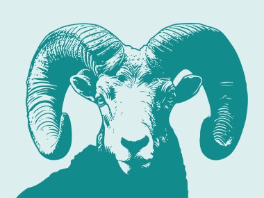 Renkli büyük boynuzlu koyun koçu karalama stili çizim çizimi