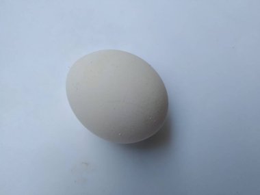 Beyaz Renkli Tekli Tavuk Yumurtasının yakın plan görüntüsü beyaz arkaplanda izole edildi