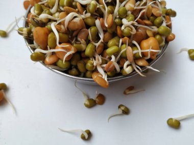 Beyaz arka planda izole edilmiş Çelik Kupada Karışık Filizler