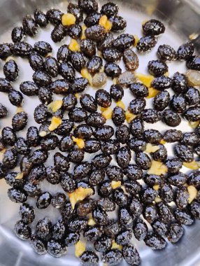 Çelik bir plaka ve tohum dokusu arka planında papaya meyvesi yığınının güzel siyah tohumlarının yakın çekimi.