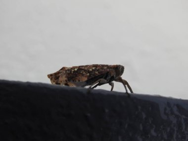 Renkli kumaş tasarım doku örnekleme arkaplanının kapatılması