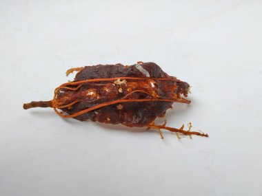 Tamarind Meyve Kabuğu ve Tohum Kapanışı Beyaz arkaplanda izole edildi.