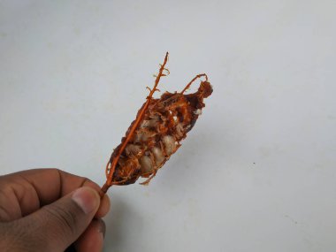Tamarind Meyve Kabuğu ve Tohum Kapanışı Beyaz arkaplanda izole edildi.