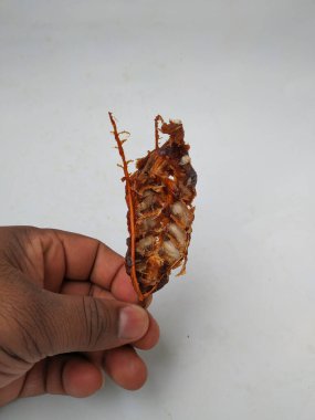 Tamarind Meyve Kabuğu ve Tohum Kapanışı Beyaz arkaplanda izole edildi.