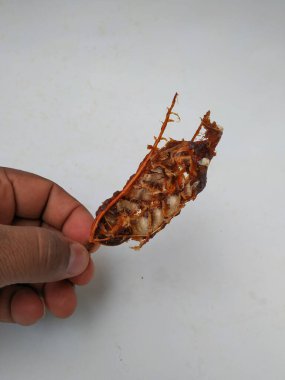 Tamarind Meyve Kabuğu ve Tohum Kapanışı Beyaz arkaplanda izole edildi.