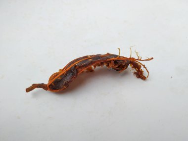 Tamarind Meyve Kabuğu ve Tohum Kapanışı Beyaz arkaplanda izole edildi.