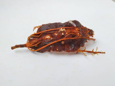 Tamarind Meyve Kabuğu ve Tohum Kapanışı Beyaz arkaplanda izole edildi.