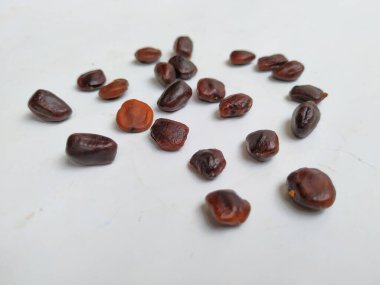Tamarind Meyve Tohumları Yığını ve deseni beyaz arkaplanda izole edilmiş..