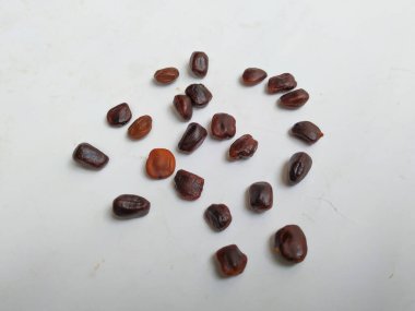 Tamarind Meyve Tohumları Yığını ve deseni beyaz arkaplanda izole edilmiş..