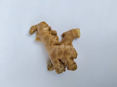 Beyaz arkaplanda taze zencefil kökü veya rhizomu yakın plan