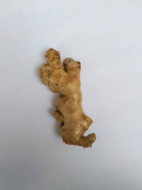 Beyaz arkaplanda taze zencefil kökü veya rhizomu yakın plan