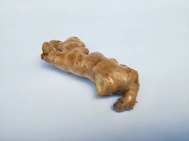 Beyaz arkaplanda taze zencefil kökü veya rhizomu yakın plan