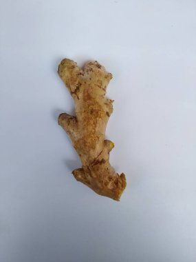 Beyaz arkaplanda taze zencefil kökü veya rhizomu yakın plan