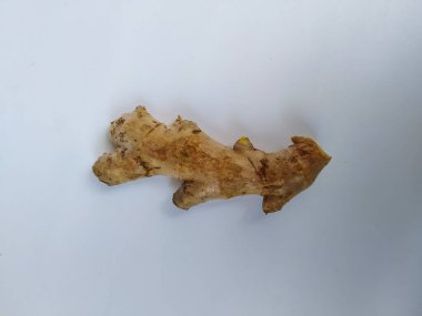 Beyaz arkaplanda taze zencefil kökü veya rhizomu yakın plan