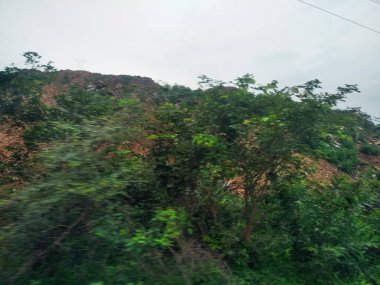 Maddur ve Magadi otobanı manzaralı yol kenarı doğayla iç içe..