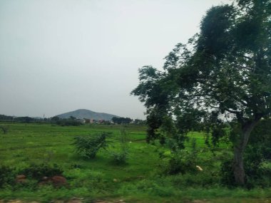 Maddur ve Magadi otobanı manzaralı yol kenarı doğayla iç içe..