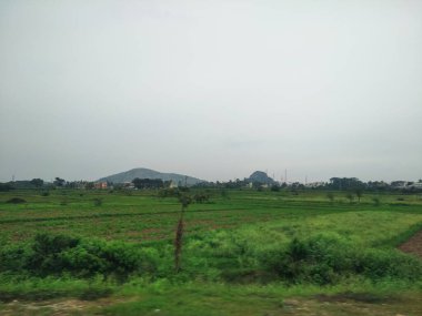 Maddur ve Magadi otobanı manzaralı yol kenarı doğayla iç içe..