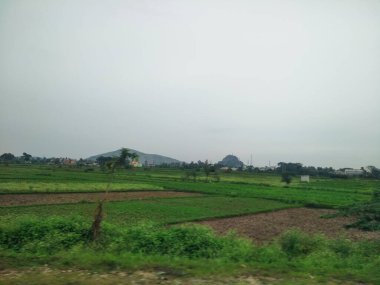 Maddur ve Magadi otobanı manzaralı yol kenarı doğayla iç içe..