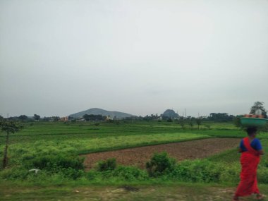 Maddur ve Magadi otobanı manzaralı yol kenarı doğayla iç içe..