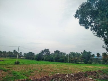 Maddur ve Magadi otobanı manzaralı yol kenarı doğayla iç içe..