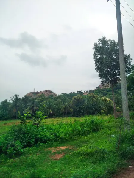 Maddur ve Magadi otobanı manzaralı yol kenarı doğayla iç içe..