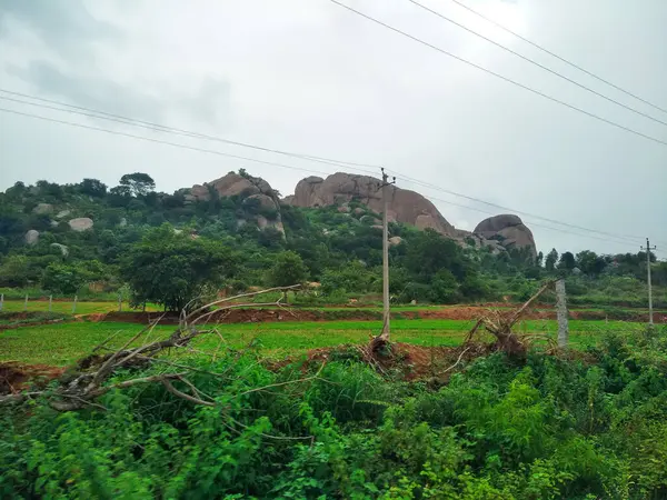Maddur ve Magadi otobanı manzaralı yol kenarı doğayla iç içe..