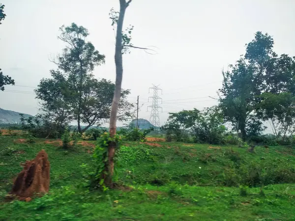 Maddur ve Magadi otobanı manzaralı yol kenarı doğayla iç içe..
