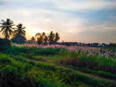 Güzel manzaralı tarım alanı, demiryolu istasyonu ve gündoğumu gökyüzü arka planına yakın..