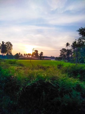 Güzel manzaralı tarım alanı, demiryolu istasyonu ve gündoğumu gökyüzü arka planına yakın..