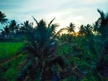 Güzel manzaralı tarım alanı, demiryolu istasyonu ve gündoğumu gökyüzü arka planına yakın..