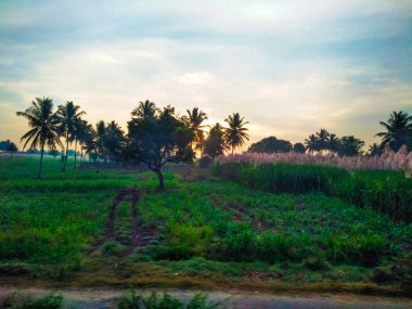 Güzel manzaralı tarım alanı, demiryolu istasyonu ve gündoğumu gökyüzü arka planına yakın..