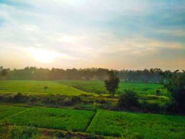 Güzel manzaralı tarım alanı, demiryolu istasyonu ve gündoğumu gökyüzü arka planına yakın..