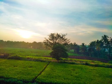 Güzel manzaralı tarım alanı, demiryolu istasyonu ve gündoğumu gökyüzü arka planına yakın..