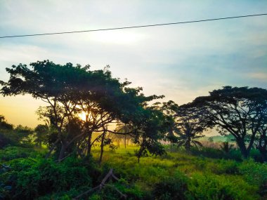 Güzel manzaralı tarım alanı, demiryolu istasyonu ve gündoğumu gökyüzü arka planına yakın..