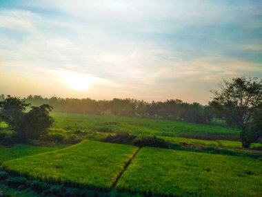 Güzel manzaralı tarım alanı, demiryolu istasyonu ve gündoğumu gökyüzü arka planına yakın..