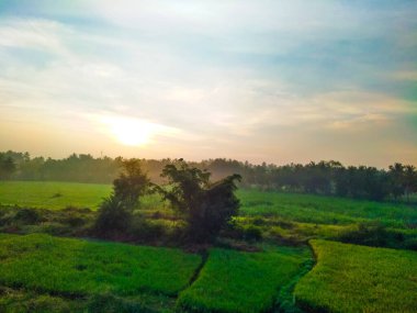 Güzel manzaralı tarım alanı, demiryolu istasyonu ve gündoğumu gökyüzü arka planına yakın..