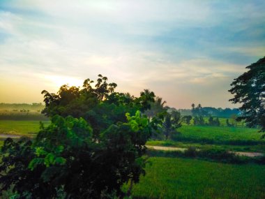 Güzel manzaralı tarım alanı, demiryolu istasyonu ve gündoğumu gökyüzü arka planına yakın..
