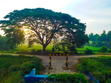 Güzel manzaralı tarım alanı, demiryolu istasyonu ve gündoğumu gökyüzü arka planına yakın..
