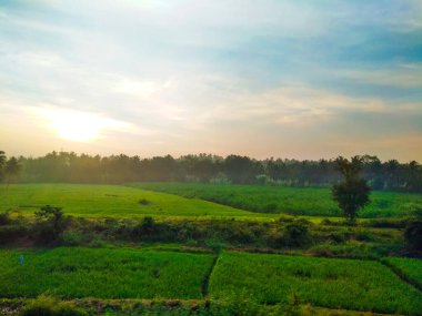 Güzel manzaralı tarım alanı, demiryolu istasyonu ve gündoğumu gökyüzü arka planına yakın..