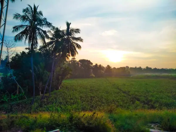 Güzel manzaralı tarım alanı, demiryolu istasyonu ve gündoğumu gökyüzü arka planına yakın..