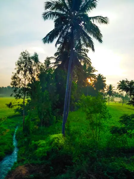 Güzel manzaralı tarım alanı, demiryolu istasyonu ve gündoğumu gökyüzü arka planına yakın..